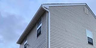 Best Historical Building Siding Restoration  in Capitan, NM